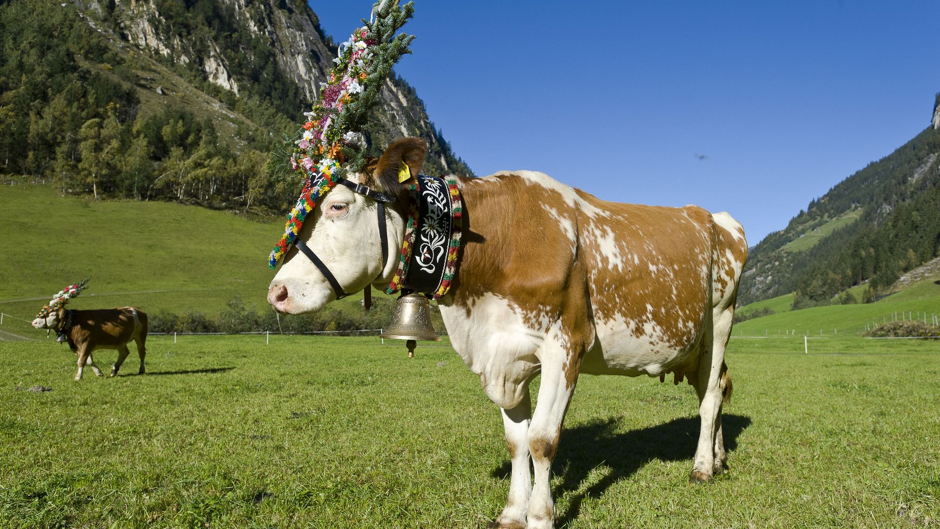 Sehenswürdigkeiten im Zillertal im Sommer & Winter Sehenswürdigkeiten im Zillertal im Sommer & Winter