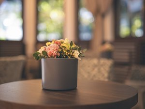 Ihr Job in Mayrhofen Ihr Job in Mayrhofen