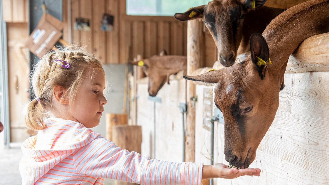 Zillertal: Sehenswürdigkeiten Zillertal: Sehenswürdigkeiten