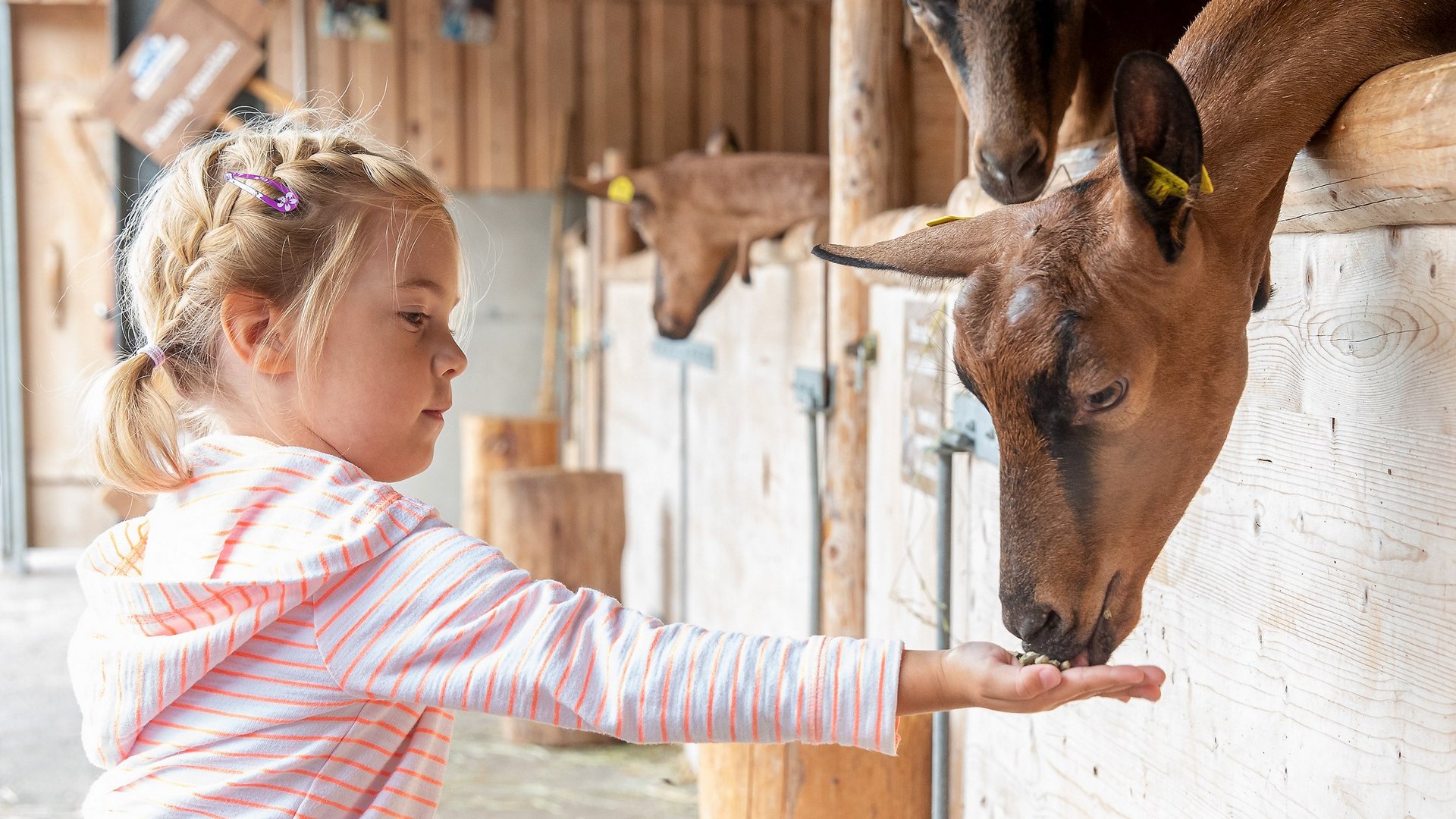 Sehenswürdigkeiten im Zillertal im Sommer & Winter Sehenswürdigkeiten im Zillertal im Sommer & Winter