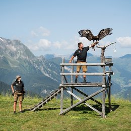 Zillertal: Sehenswürdigkeiten Zillertal: Sehenswürdigkeiten