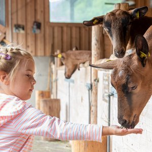 Sport & Spa Hotel Strass: Downloads Sport & Spa Hotel Strass: Downloads