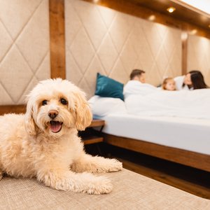 Sport & Spa Hotel Strass: Downloads Sport & Spa Hotel Strass: Downloads